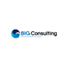 Big Consulting