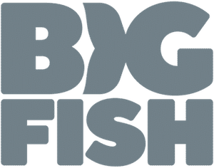 Big Fish-logo