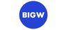 BIG W-logo