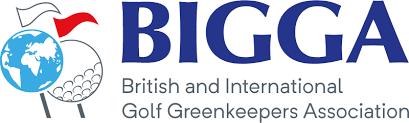 Bigga-logo