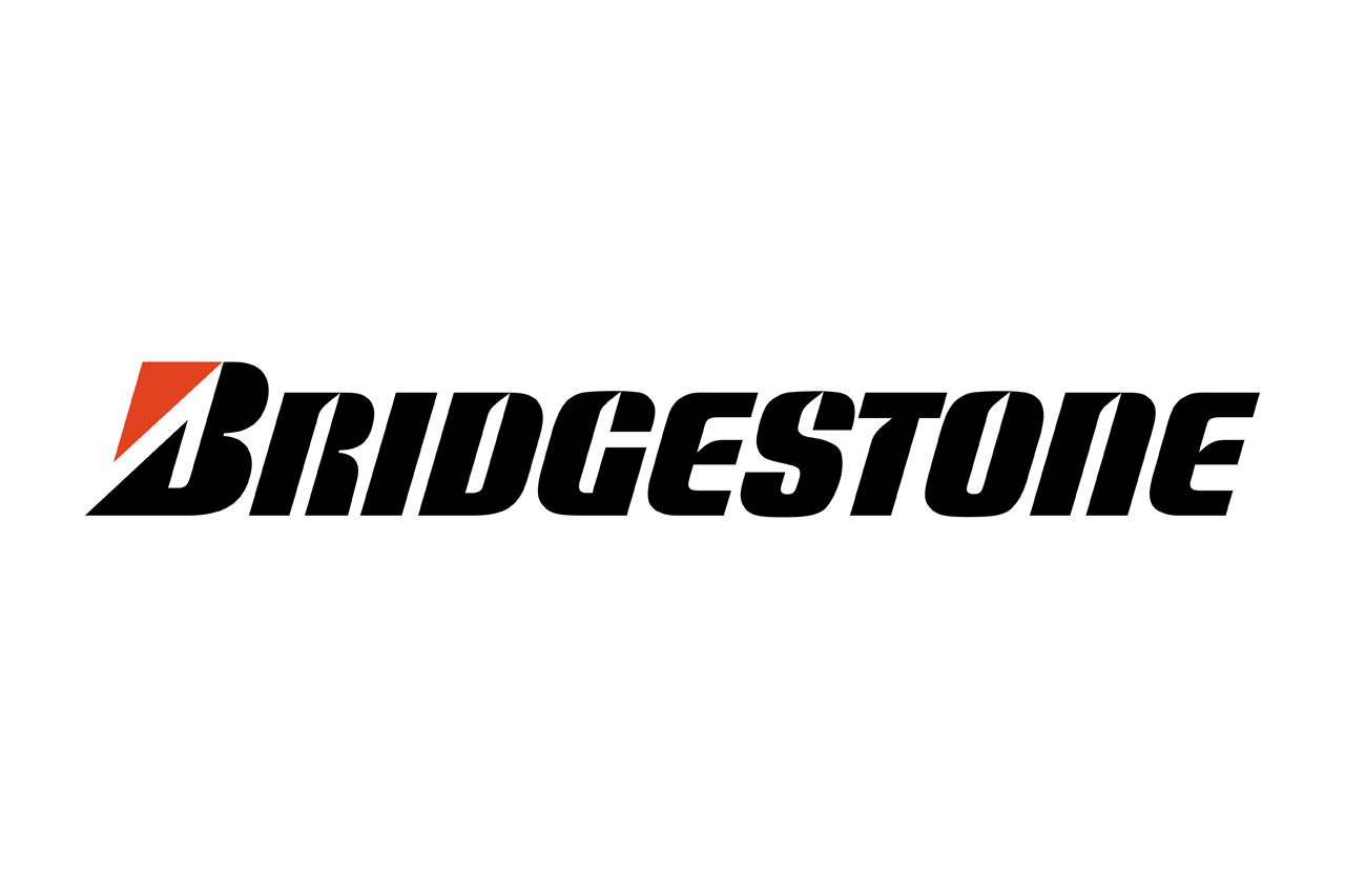 Birdgestore-logo