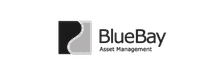 Bluebay-logo