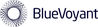 Bluevoyant-logo