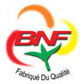 BNF-logo