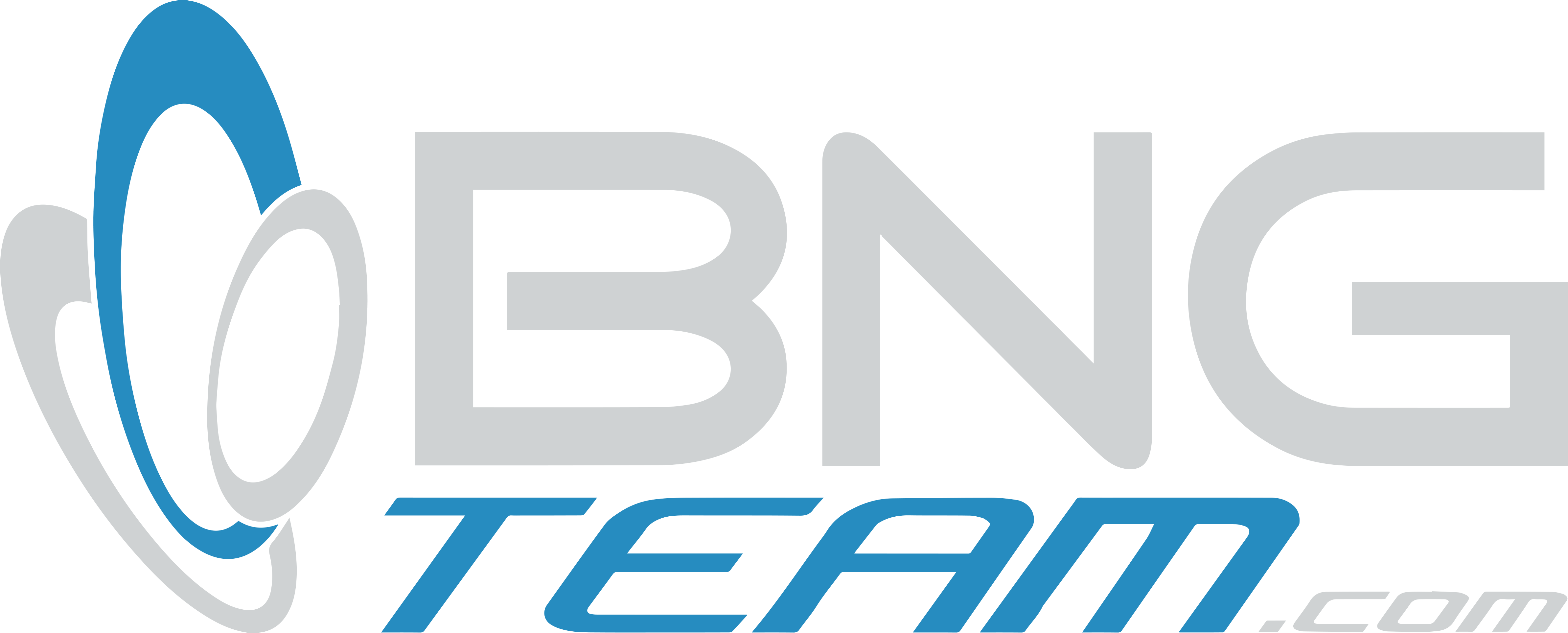 BNGTeam-logo