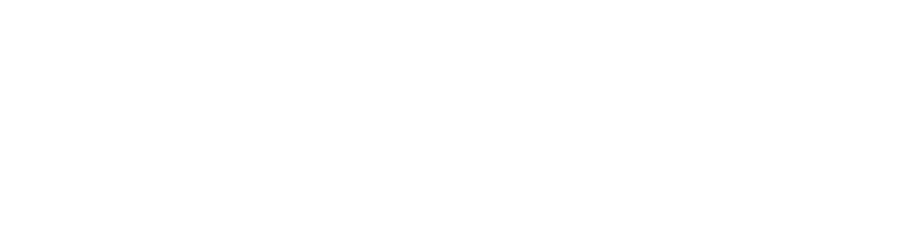 Boush-logo