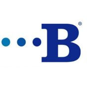 Bridgeview Bank Group-logo