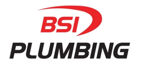 BSI-logo