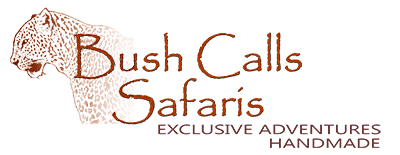 Bush Calls Safaris-logo