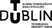 Dub Insitute-logo