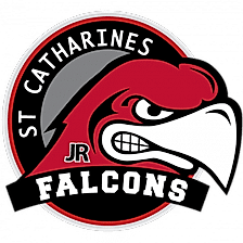 FALCONS-logo