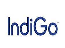 indigo-logo