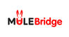 Mulebridge-logo