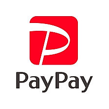 PayPay-logo