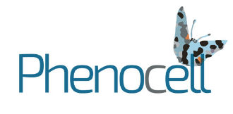 Phenocell-logo