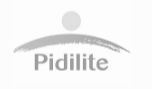 Pidilite-logo