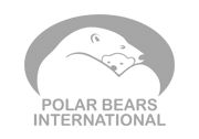 Polar Bears International-logo