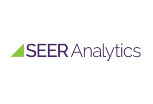 Seer Analytics-logo