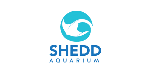 Shedd-logo