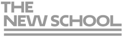 The New School-logo