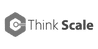 Think Scale-logo