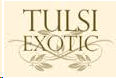 Tulsi-logo