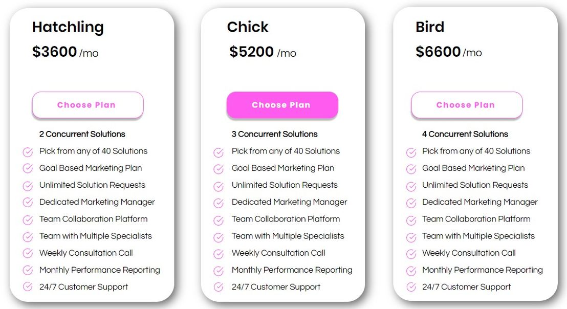 150birds pricing