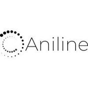 Aniline - Employee Engagement Software