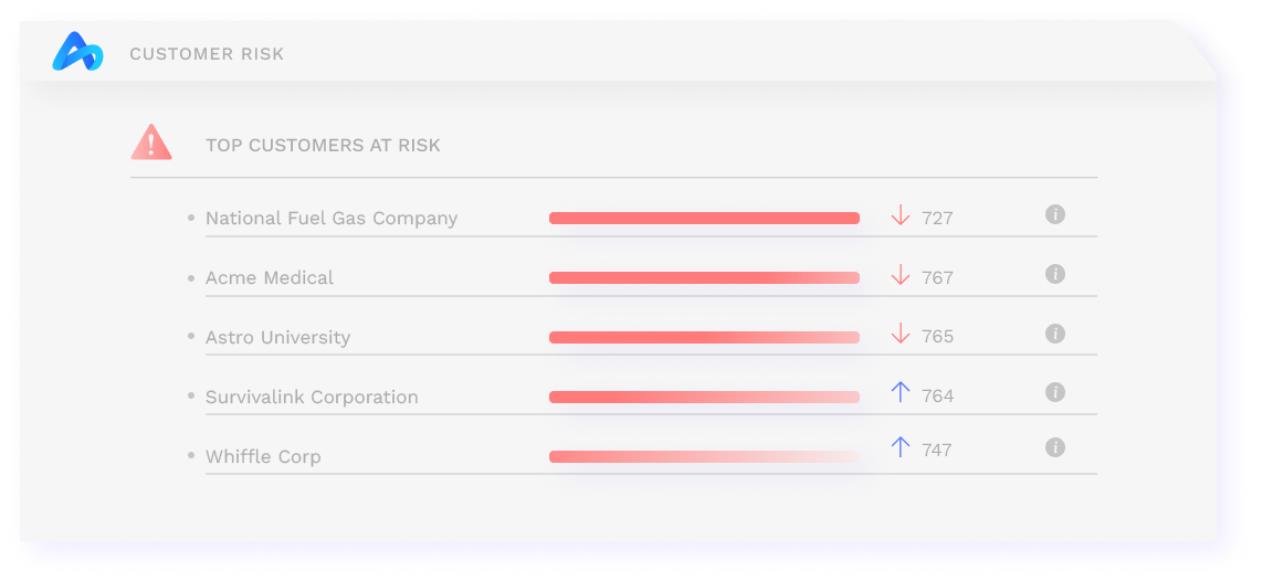 Customer Risk