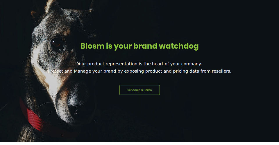 Blosm for Brands Screenshot-thumb