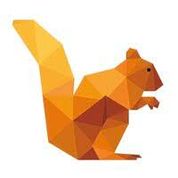 DataSquirrel - New SaaS Software