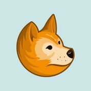 DingoDot - New SaaS Software
