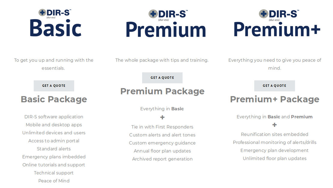 dir-s pricing