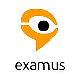 Examus AI proctoring