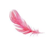 Feather - New SaaS Software