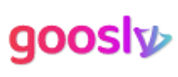 Goosly - New SaaS Software