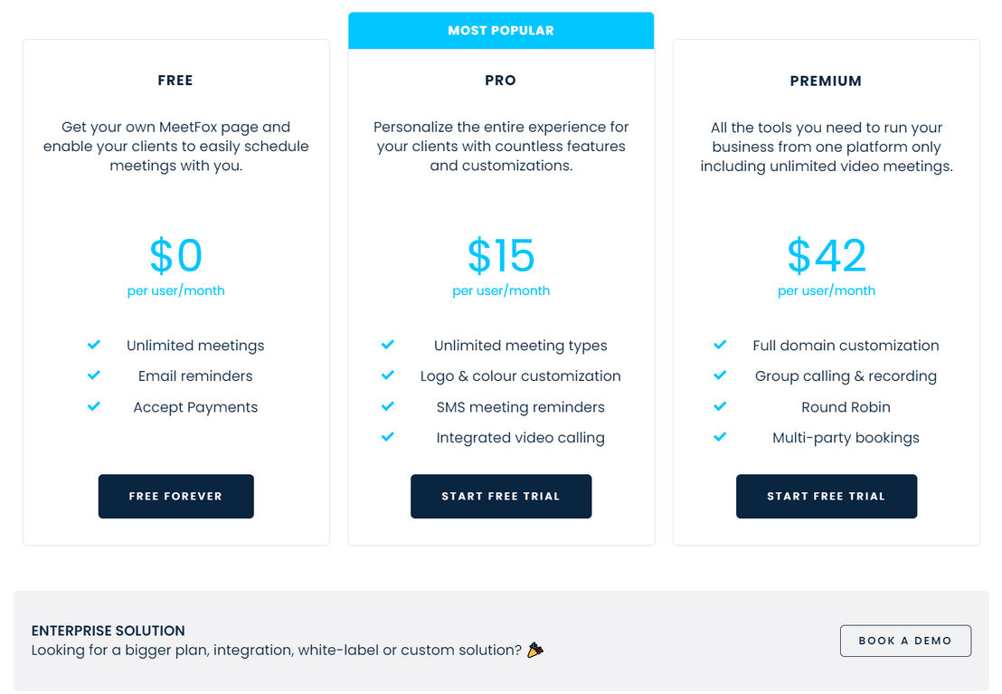 meetfox pricing