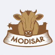 Modisar - New SaaS Software