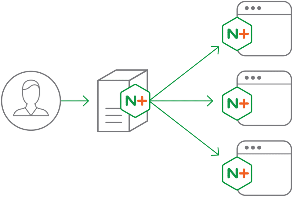 NGINX Plus Screenshot