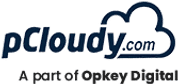 pCloudy - Automated Testing Software