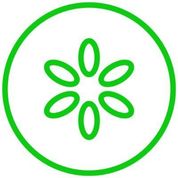 Pickle - New SaaS Software