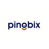 Pingbix