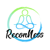 ReconNess - New SaaS Software