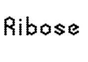 Ribose - Employee Intranet Software