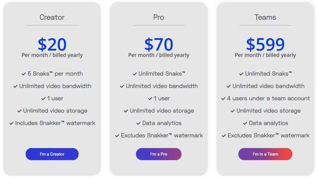 snakker pricing