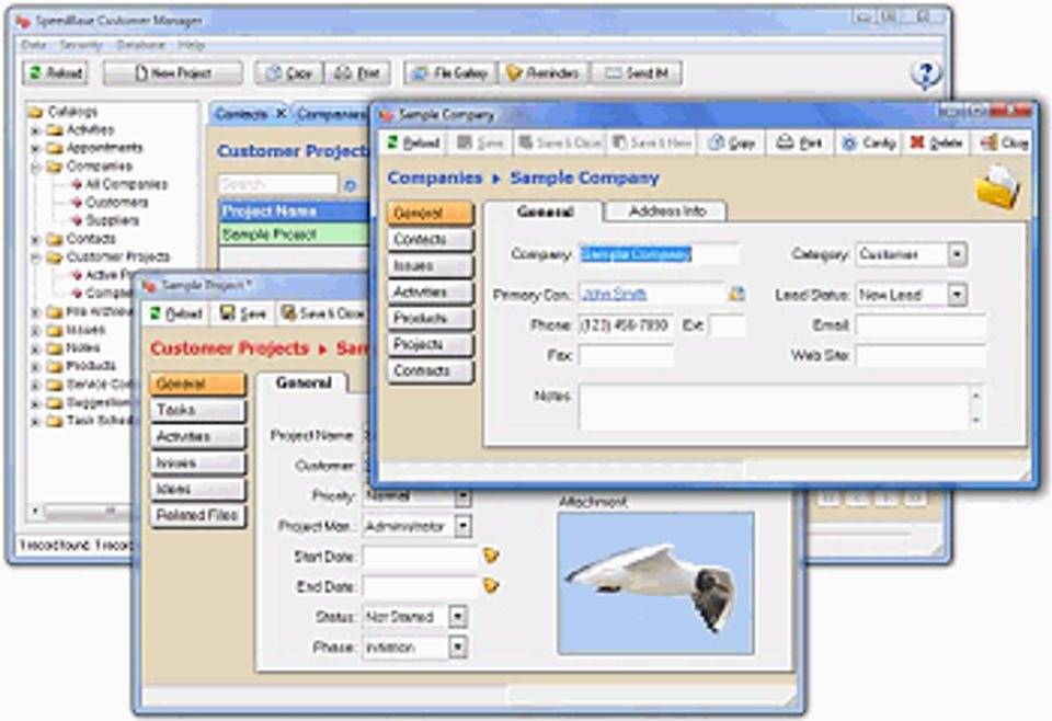 Database Software for Custom Needs Screenshot