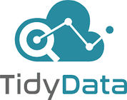 Tidy Data - New SaaS Software