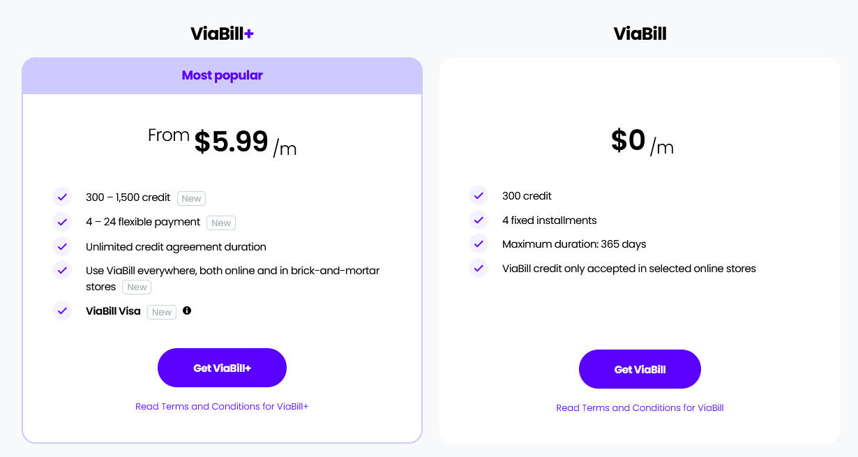 ViaBill pricing