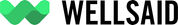 WellSaid Studio - New SaaS Software