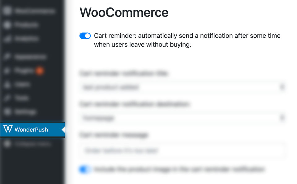 Setup a cart reminder-thumb